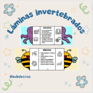 Ficha invertebrados