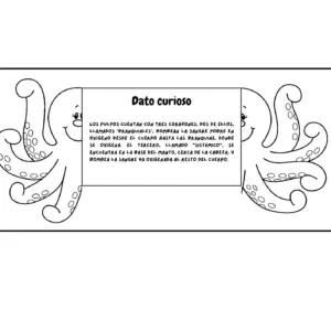 Datos curiosos animales del mar