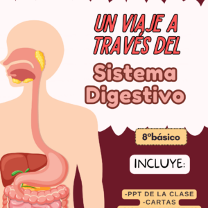 Clase Sistema Digestivo + cartas