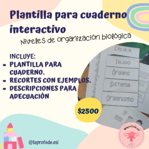 Cuaderno interactivo. Niveles de organización biológica.