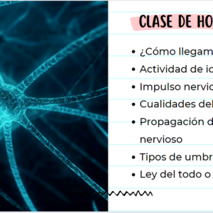 Clase Impulso Nervioso
