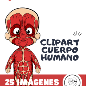 Mi cuerpo por dentro