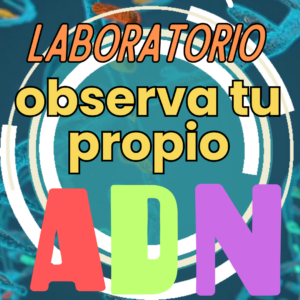 Laboratorio "Observa tu propio ADN"