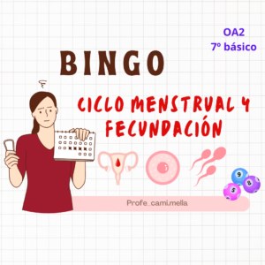 Bingo ciclo menstrual y fecundación 7º básico