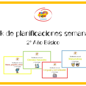 ⭐ Planificaciones Anuales 2° Año Básico⭐