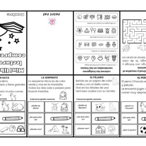 Mini libro de comprensión de lectura