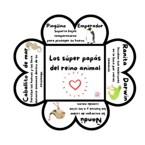 Box súper papás del reino animal