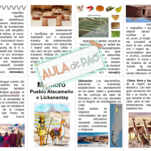 Mini Libro Atacameños