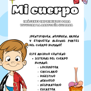 Mi cuerpo en capas