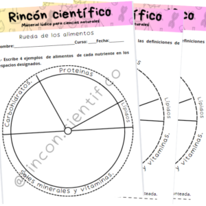 Rueda de los alimentos