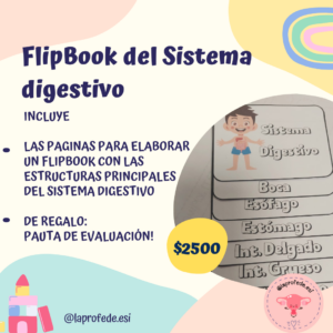 Flipbook Sistema digestivo