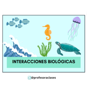 PDF de “Interacciones biológicas” 1°Medio