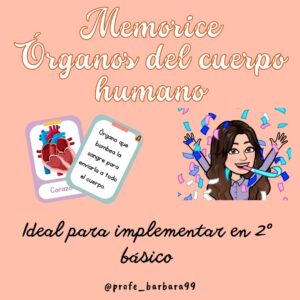 Memorice órganos del cuerpo humano 2° básico