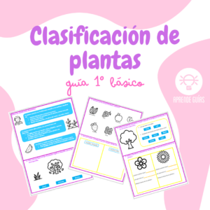 Clasificación de plantas: semillas, frutos, flores y tallos