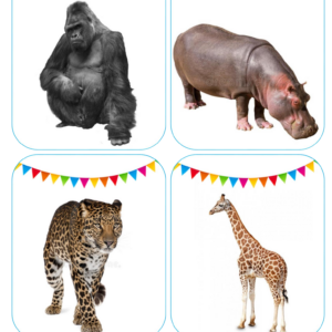 Flash Card animales