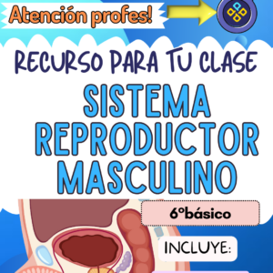 PPT y Cartas Sistemas Reproductor Masculino