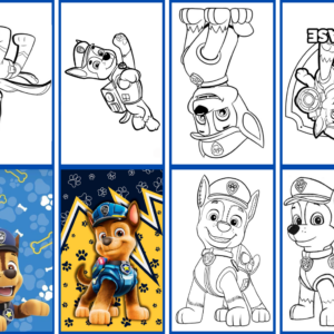 Minilibros de Paw Patrol