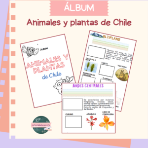 Álbum Flora y fauna chilena + mini libros para colorear