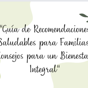 Guía de recomendaciones saludables para la familia