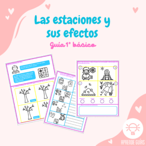 Las estaciones y sus efectos