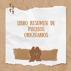 Libro resumen de pueblos originarios armable