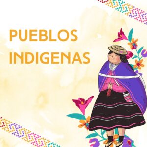 Pueblos originarios