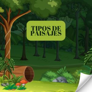 Tipos de paisajes
