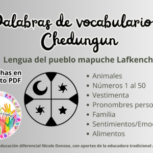 Fichas Palabras de vocabulario en Chedungun
