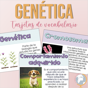Genética tarjetas de vocabulario
