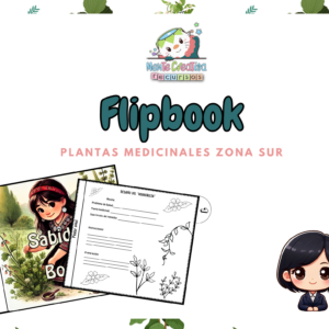 Flipbook de Plantas medicinales del Sur de Chile
