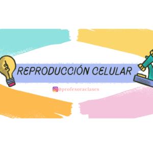 PDF de “Reproducción celular: ciclo celular”