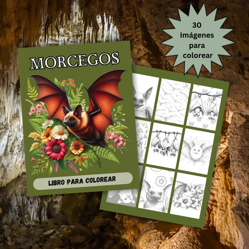 30 ilustraciones de murciélagos en vuelo, murciélagos con flores, retratos de murciélagos y mucho más.