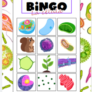Bingo Célula