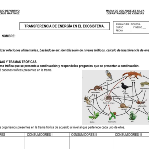 GUÍA CADENAS Y TRAMAS TRÓFICAS