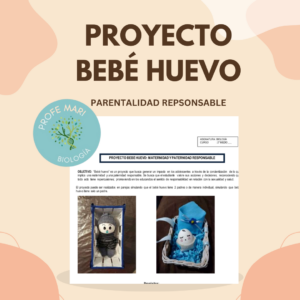 Proyecto bebé huevo