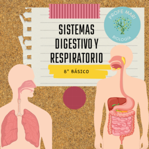 PPT Sístema disgetivo y sístema respiratorio