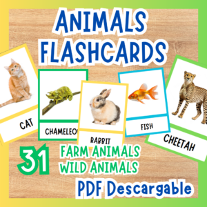 Animals Flashcards (31 animals - real pictures)