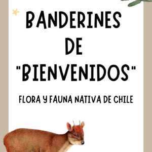 Banderines de bienvenida