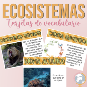 Ecosistemas tarjetas de vocabulario