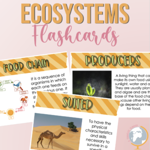 Ecosystems Vocabulary Flash cards