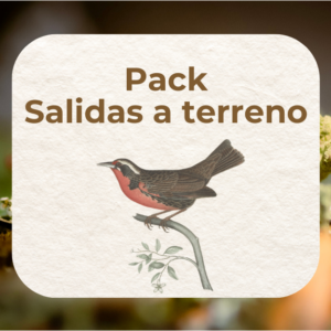 Pack Salidas a terreno