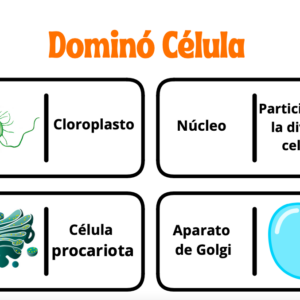 Dominó célula