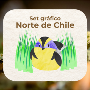 Norte de Chile - Set gráfico