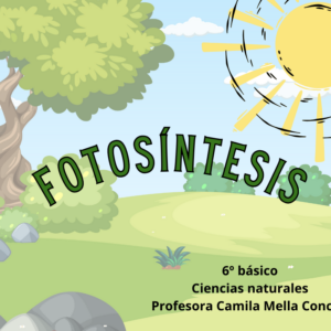 Fotosíntesis
