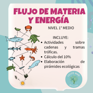 GUÍA FLUJO DE MATERIA Y ENERGÍA EN EL ECOSISTEMA