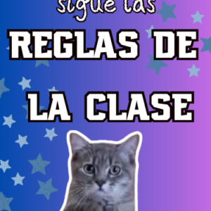 Normas de clase