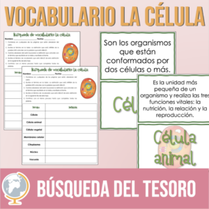 Vocabulario La célula Búsqueda del Tesoro