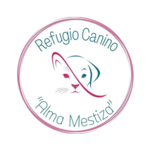 Formulario previo de adopción gatos