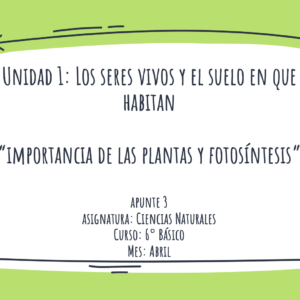 Apunte 6° Básico: Importancia de las plantas y fotosíntesis