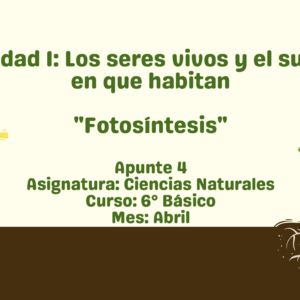Apunte 6° Básico: Fotosíntesis